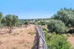 Finca to renovate near Manacor for sale in Majorca