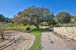Montuiri Mallorca finca rustica en venta encina 89021