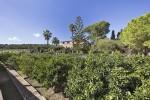 Montuiri Mallorca finca rustica en venta terreno 89021