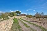 Montuiri Mallorca finca rustica en venta terreno 89021