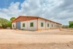 llucmajor Mallorca finca for sale stables 89362