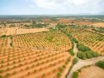 llucmajor Mallorca finca for sale vineyards 89362
