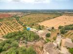 llucmajor Mallorca finca for sale vineyard 89362