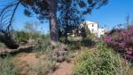 Zwei Fincas zusammen zu verkaufen in der N&auml;he von Cala Mand&iacute;a, Manacor, Mallorca