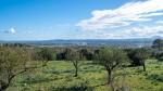 Binissalem Finca en venta Mallorca Exteriores 3 92120