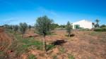 Sa R&aacute;pita Mallorca villa en venta jard&iacute;n 92448