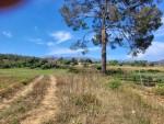 vistas (2)