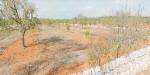 Rustic plot for sale between Santanyi and Ses Salines in the south of Majorca