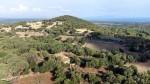 Extensive agricultural Finca with several buildings for sale in Arta, Mallorca
