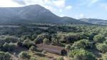 Extensive agricultural Finca with several buildings for sale in Arta, Mallorca