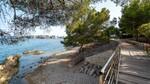 Apartamento Palmanova Playa 2 92741