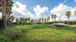 Santa Maria Majorca House for sale garden  92798