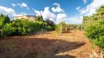 Santa Maria Majorca House for sale garden 92798