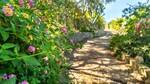 S&oacute;ller Mallorca Finca for sale garden BHHS-BAL-0177