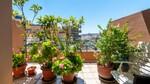 Palma Mallorca &Aacute;tico en venta Terraza BHHS-BAL-0382