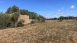 Plot for sale with project for an exclusive finca in Llucmajor, Majorca