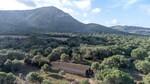 Extensive agricultural Finca with several buildings for sale in Arta, Mallorca