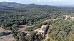 Extensive agricultural Finca with several buildings for sale in Arta, Mallorca