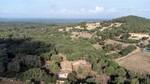 Extensive agricultural Finca with several buildings for sale in Arta, Mallorca