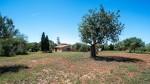 Santany Mallorca Finca for sale Exterior BBHS-BAL-0873