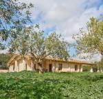 Sch&ouml;nes neu gebautes Haus zur Miete in Randa, Algaida BHHS-BAL-0904