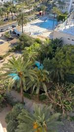 WhatsApp Image 2026-03-11 at 12.18.26 (6)