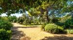Binissalem Mallorca Finca for sale Garden BHHS-BAL-1061