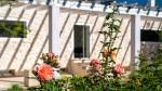 Binissalem Mallorca Finca for sale garden BHHS-BAL-1061