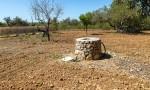 Finca for sale between Santa Maria and Alar&oacute;, Majorca