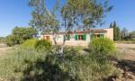Finca para ampliar en venta entre Santa Maria y Alar&oacute; , Mallorca