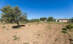 Finca para ampliar en venta entre Santa Maria y Alar&oacute; , Mallorca