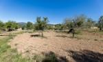 Finca para ampliar en venta entre Santa Maria y Alar&oacute; , Mallorca