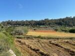 Building plot with approved project for sale in Montu&iuml;ri Mallorca BHHS-BAL-1207