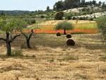 Building plot with approved project for sale in Montu&iuml;ri Mallorca BHHS-BAL-1207