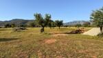 Solar con proyecto en venta en Marratx&iacute;, Mallorca BHHS-BAL-1210
