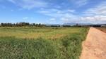 Rustic plot with project for sale in Llub&iacute;, Mallorca BHHS-BAL-1211