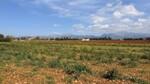 Rustic plot with project for sale in Llub&iacute;, Mallorca BHHS-BAL-1211
