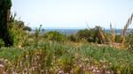 Sant Lloren&ccedil; Mallorca Finca en venta vistas BHHS-BAL-1243
