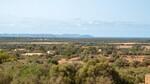 Casa Ses Salines Vistas 3 BHHS-BAL-1288.jpg