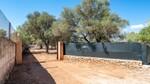 Finca Son Gual Entrada BHHS-BAL-1291.jpg