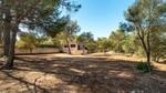 Son Gual-Algaida, Mallorca: Country house for sale with garden