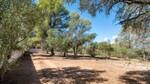 Son Gual-Algaida, Mallorca: Country house for sale with garden