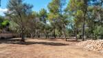 Son Gual-Algaida, Mallorca: Country estate for sale &ndash; plot of land
