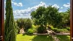 Puntiro-Palma Mallorca Finca en venta, Vistas BHHS-BAL-1300
