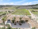 Property with vineyard in Montu&iuml;ri, Mallorca BHHS-BAL-1313
