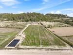 Property with vineyard in Montu&iuml;ri, Mallorca BHHS-BAL-1313