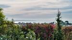 Villa Costa D_en Blanes Vistas  BHHS-BAL-1324.jpg
