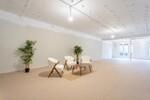 Sal&oacute;n minimalista con luz natural y plantas
