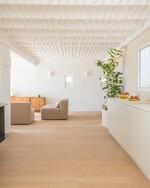 Don Pedro 6, 6&ordm; Arthur-66