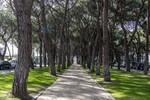 _MG_6237-HDR